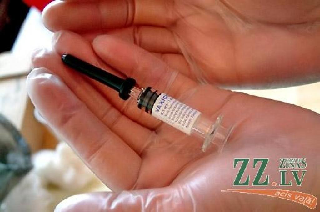 Nākamajai gripas sezonai gatavosies ar preventīvu vakcinēšanās kampaņu